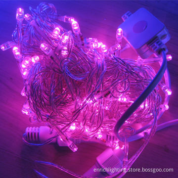 LED Fairy String Light, Pink Color, 220V AC, IP44 Rate, 10 Meters 100 Per Set
